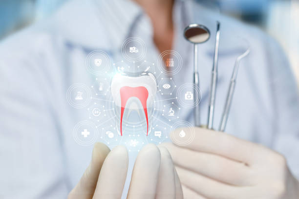 Professional  Holistic Dental Services in Monument, CO